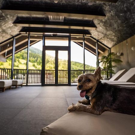 Hotel Roman Maramures - Ski & Spa Resort Statiunea エクステリア 写真
